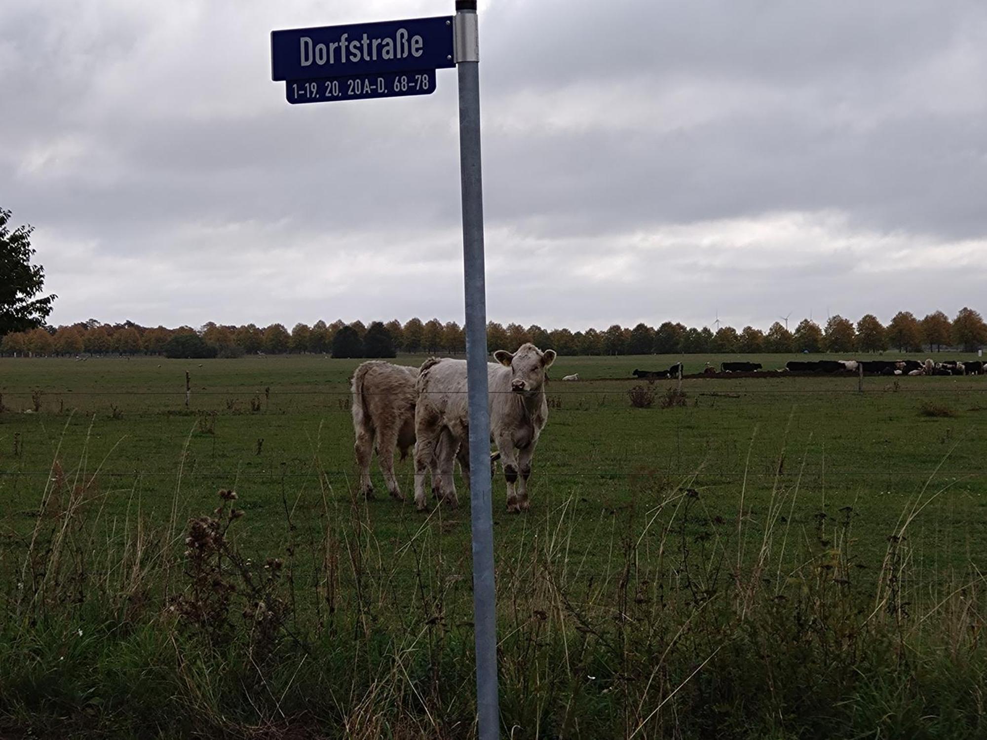 Moderne Barrierefreie Wohnung Auf Dem Land Bei Neuruppin Lichtenberg  ภายนอก รูปภาพ